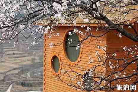 2019淄博泉子村杏花节3月30号 2019淄博泉子村杏花节3月30号