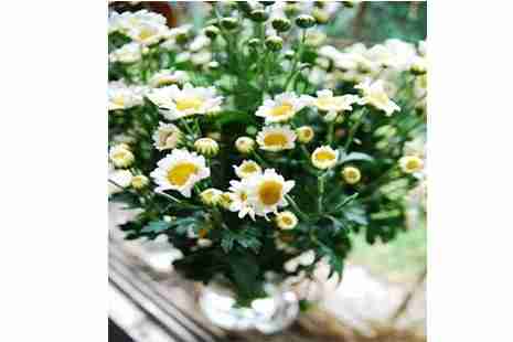 2019孝感清明扫墓专线