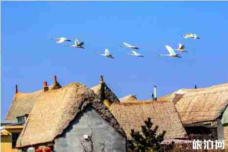 冬天去威海好玩嗎 冬天去威海好玩嗎