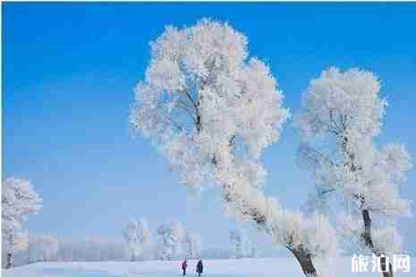 吉林霧凇觀賞地推薦+路線推薦