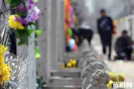 杭州公墓公交车怎么走