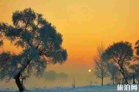 吉林霧凇觀賞地推薦+路線推薦