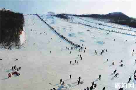 最新烏魯木齊到天山大峽谷旅游專線價格一覽