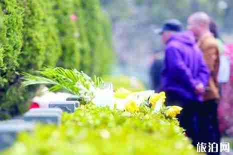 2019沈阳清明扫墓专车信息整理 2019沈阳清明扫墓专车信息整理