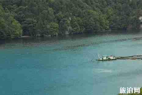 日本岐阜縣旅游攻略