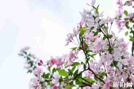 成都地铁7号线时刻表+景点推荐