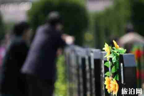 2019南通清明扫墓专线车整理