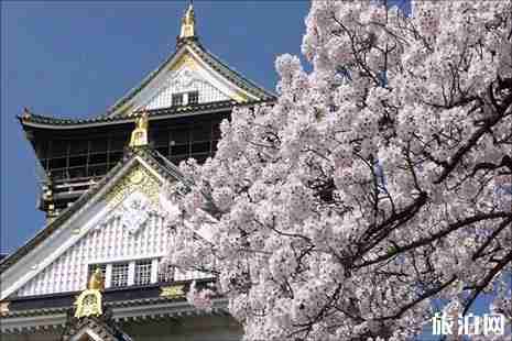 日本旅游最值得去的地方是哪里