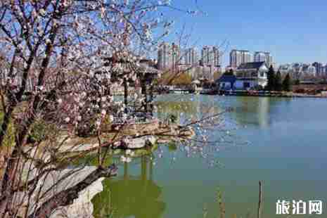 2019天津赏花停车攻略 2019天津赏花停车攻略