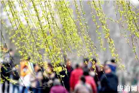 杭州西湖公交车路线攻略整理 杭州西湖公交车路线攻略整理