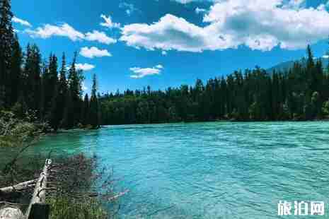 新疆卡卡通旅游卡怎么辦理+景點