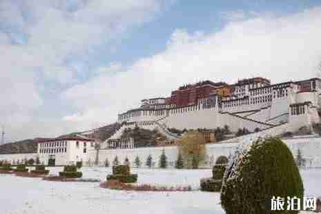 春節一家人去哪里旅游