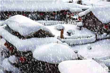 哪些地方下雪了