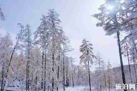 南方人去哪里看雪合適+景點攻略