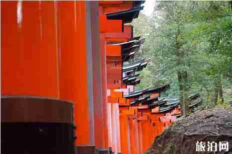 春節去日本旅游好嗎 春節去日本旅游必備日語 春節去日本旅游好嗎 春節去日本旅游必備日語