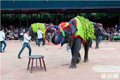 泰國曼谷輕軌綠線開通 曼谷必游景點(diǎn)推薦