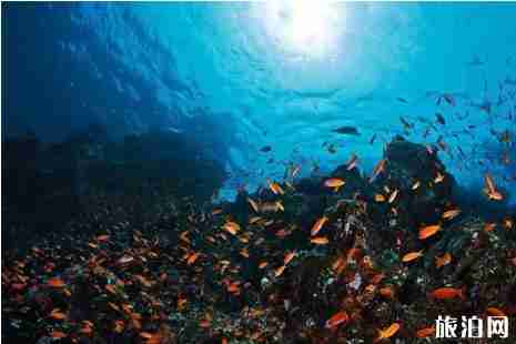 泰國曼谷輕軌綠線開通 曼谷必游景點(diǎn)推薦