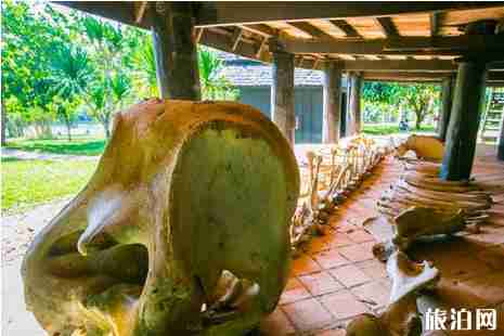 泰國黑廟介紹+在哪里+門票+交通