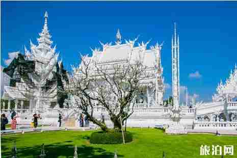 泰國白廟簡介+在哪里+門票+交通