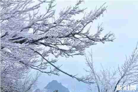 湖南下雪了嗎2018年12月 湖南霧凇哪里有