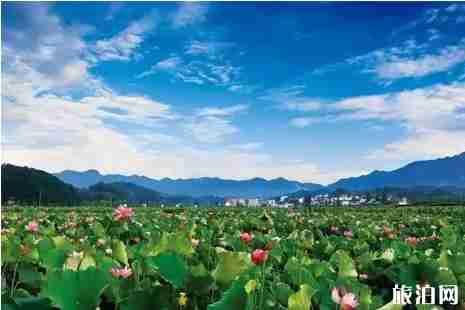 龍游旅游景點(diǎn)有哪些+門票