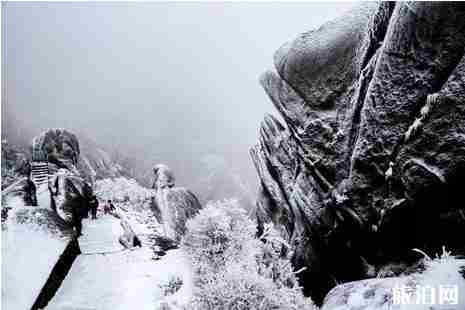 南方下雪的城市有哪些2018年12月