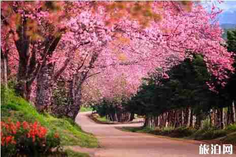 適合學生去的旅游國家高性價推薦 適合學生去的旅游國家高性價推薦