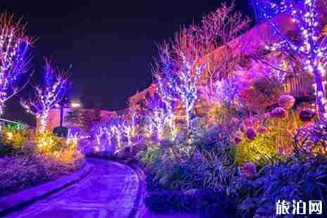 圣诞节大阪灯光秀时间+门票+地点+介绍 圣诞节大阪灯光秀时间+门票+地点+介绍