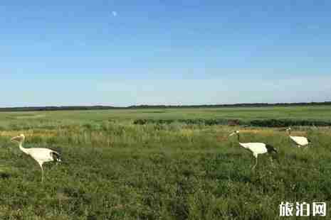 莫莫格自然保護(hù)區(qū)在哪+門票+優(yōu)惠政策+交通+介紹