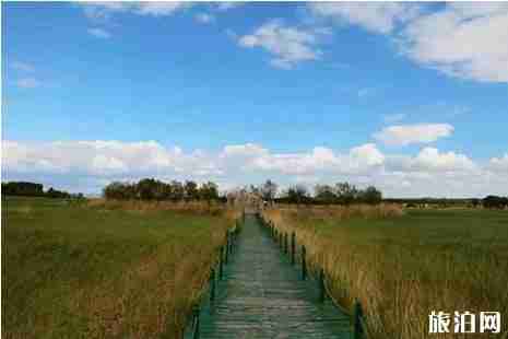 莫莫格自然保護(hù)區(qū)在哪+門票+優(yōu)惠政策+交通+介紹