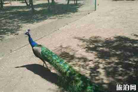 莫莫格自然保護(hù)區(qū)在哪+門票+優(yōu)惠政策+交通+介紹