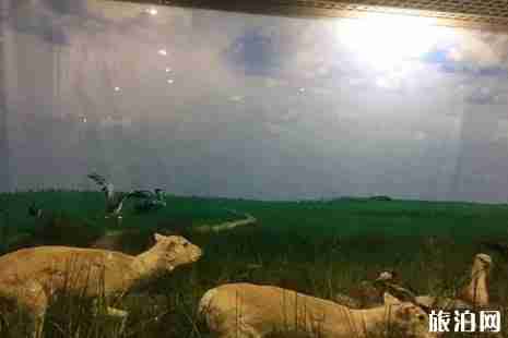 莫莫格自然保護(hù)區(qū)在哪+門票+優(yōu)惠政策+交通+介紹