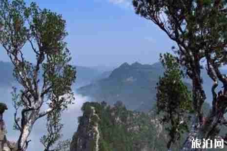 哪些景區(qū)華為手機(jī)半價(jià)優(yōu)惠