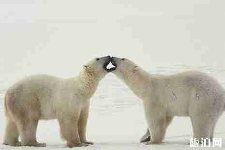 2019南京海底世界跨年音樂會消息