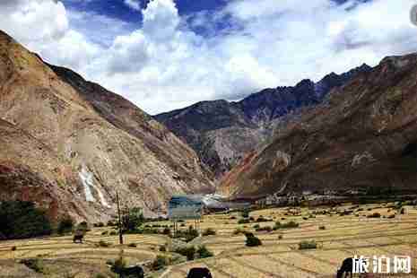 怒江大橋為何不準拍照 怒江大橋在哪里