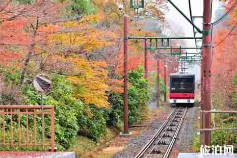 日本箱根去东京怎么走 日本箱根去东京怎么走