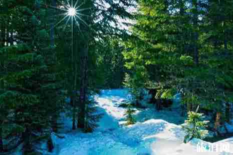 怎么去延边市内