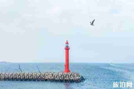 中国怎么去济州岛 自己怎么去韩国济州岛 中国怎么去济州岛 自己怎么去韩国济州岛