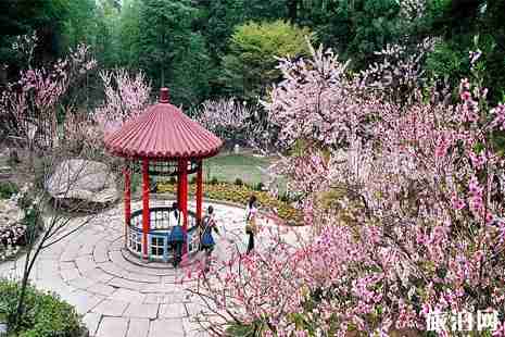 自驾上庐山车开到哪里 自驾上庐山车开到哪里