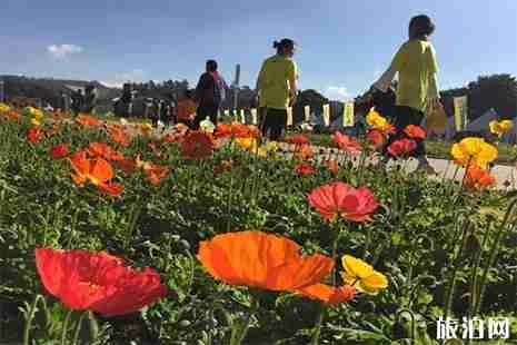 昆明世博園門票多少錢 元旦昆明世博園優惠信息 昆明世博園門票多少錢 元旦昆明世博園優惠信息