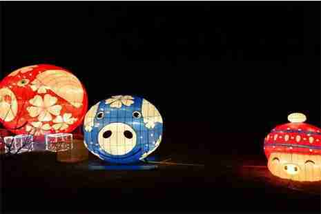 2019老樂山新春燈會門票 時間+地點 2019老樂山新春燈會門票 時間+地點