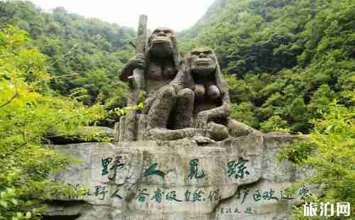 武汉到神农架怎么去 武汉到神农架多长时间 武汉到神农架怎么去 武汉到神农架多长时间