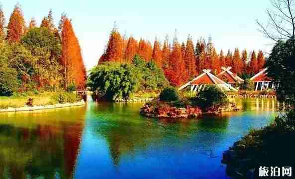 生态崇明直通车江苏线多少钱+行程路线 生态崇明直通车江苏线多少钱+行程路线