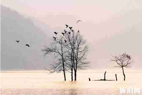 浙江看日出最好的地方推薦+門票+地址