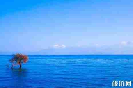 中國霧霾最少的城市推薦