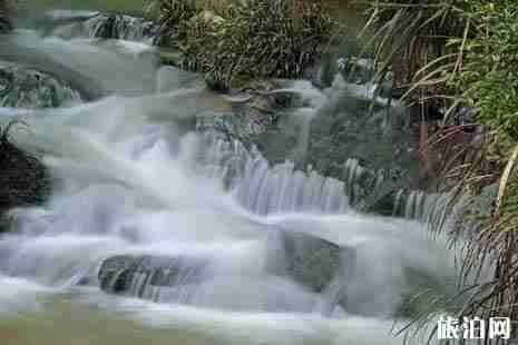 2019從化呂田美食節時間+門票+地點+交通+介紹