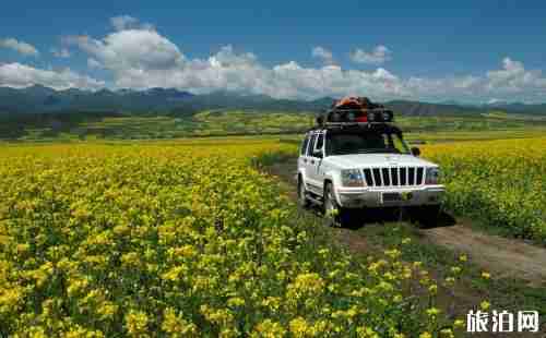 国外旅游租车和包车哪个更划算 国外旅游租车和包车哪个更划算