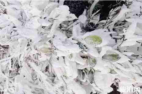 福建哪里看霧凇+交通