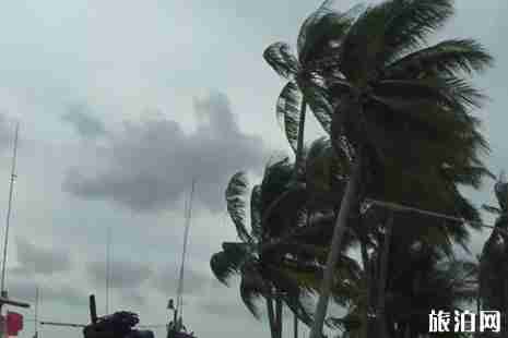 泰國臺風最新消息2019 泰國臺風影響哪些地方 泰國臺風最新消息2019 泰國臺風影響哪些地方