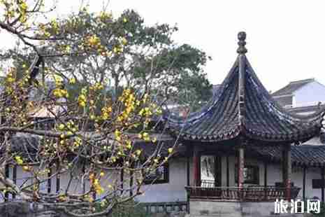 苏州赏梅好去处